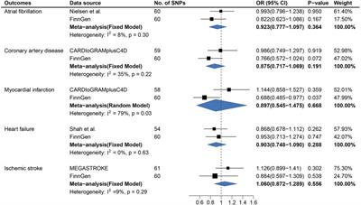 Association of age at first sexual intercourse and lifetime number of sexual partners with cardiovascular diseases: a bi-directional Mendelian randomization study